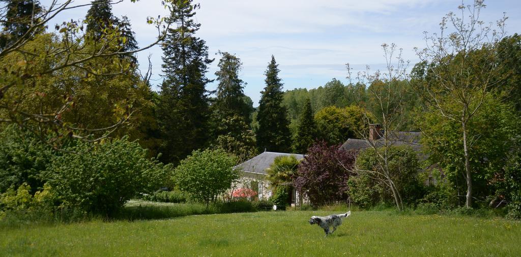 La Barillerie Bed & Breakfast La Flèche Eksteriør bilde