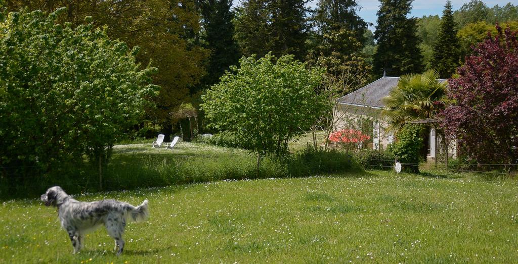 La Barillerie Bed & Breakfast La Flèche Eksteriør bilde